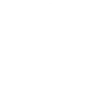 Client Centric Excellence