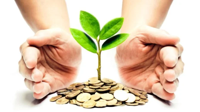 Self-Managed Super Fund
